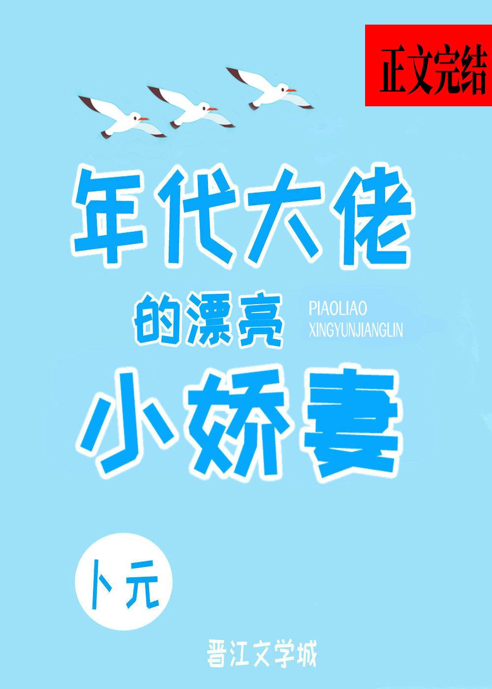 年代大佬的漂亮小娇妻封面