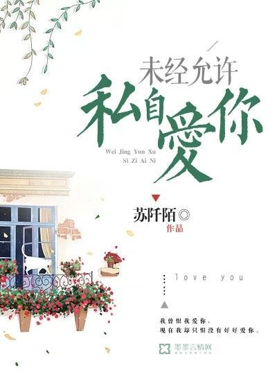 未经允许，私自爱你封面