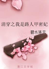 清穿之我是路人甲密妃封面
