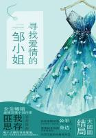 寻找爱情的邹小姐封面