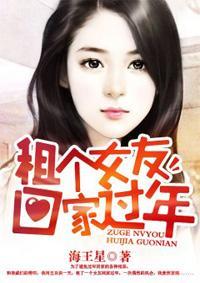租个女友回家过年封面