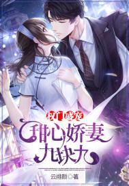 权门盛宠：甜心娇妻九块九封面