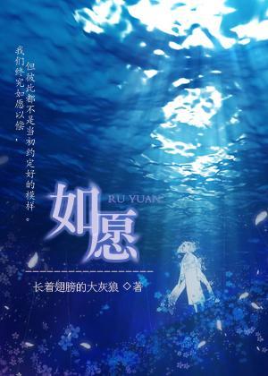 如愿封面