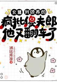 女尊：我娇养的疯批傻夫郎他又翻车了封面