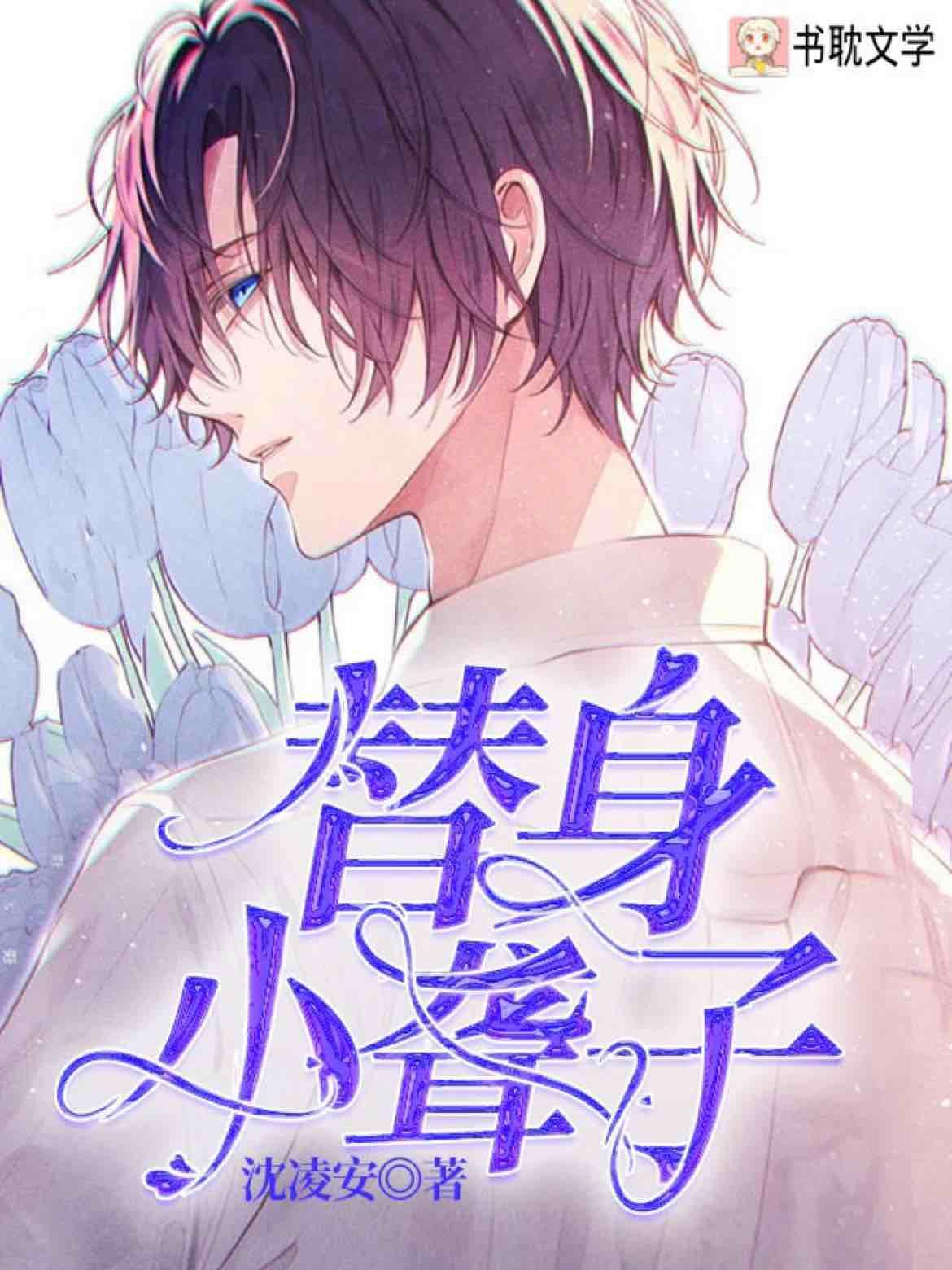 替身小聋子封面