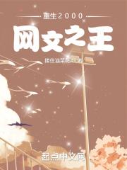 重生2000：网文之王封面