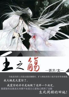 王之觞封面