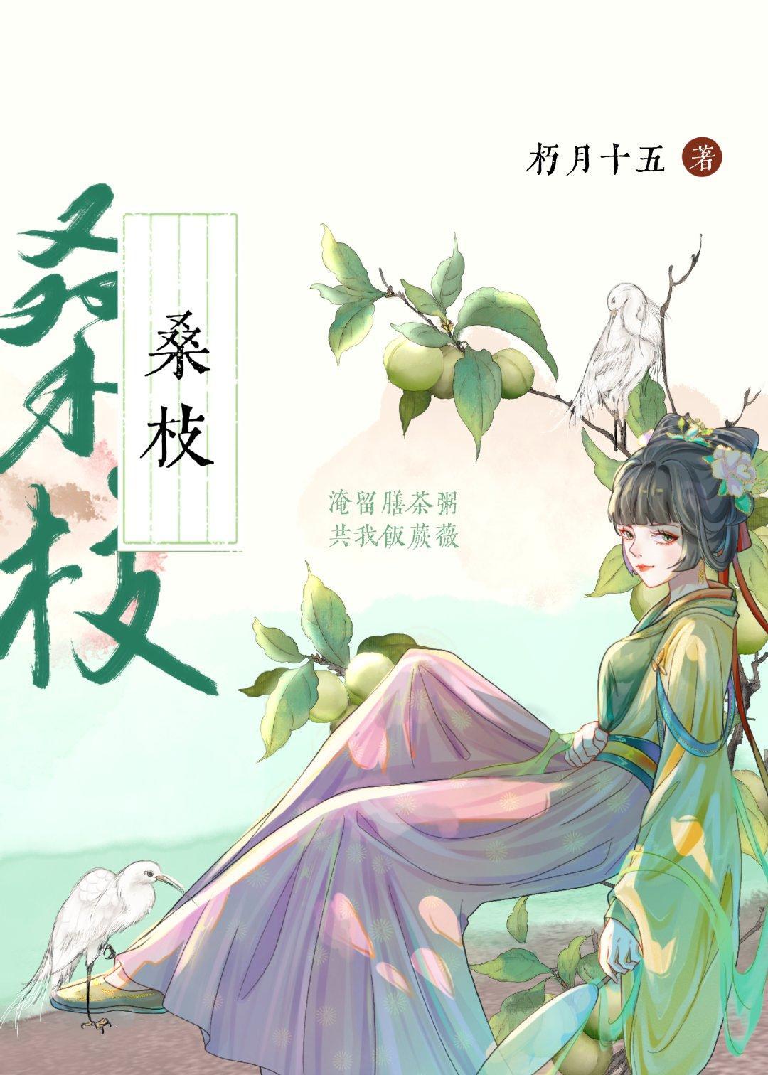 古代药膳手札封面