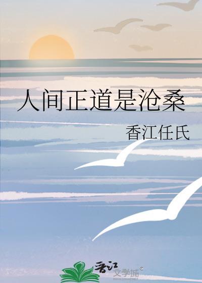 人间正道是沧桑封面