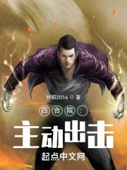 四合院：主动出击封面