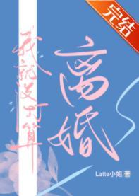 我就没打算离婚封面