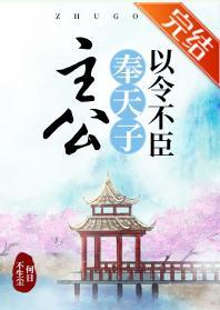 主公奉天子以令不臣封面