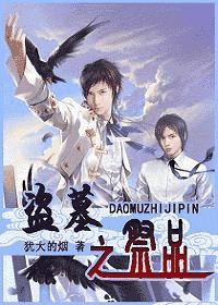 盗墓之祭品封面