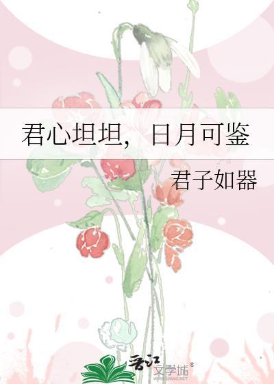 君心坦坦，日月可鉴封面