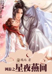 网游之星夜燕回封面