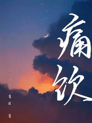 痛饮封面