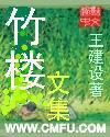 竹楼文集封面