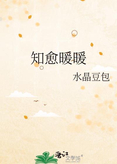 知愈暖暖封面