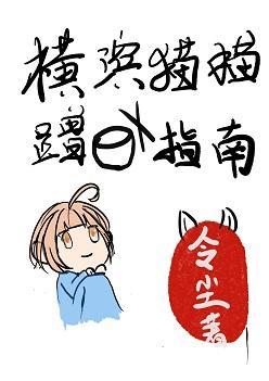 横滨猫猫蹭饭指南封面