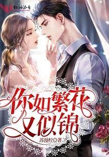 你如繁花又似锦封面