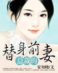 总裁的替身前妻封面
