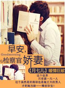 早安，检察官娇妻封面
