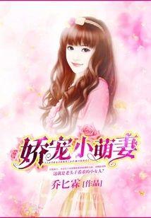 娇宠小萌妻封面