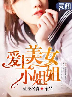 爱上美女小姐姐封面