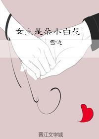 女主是朵小白花封面