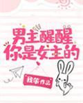 男主醒醒你是女主的！封面