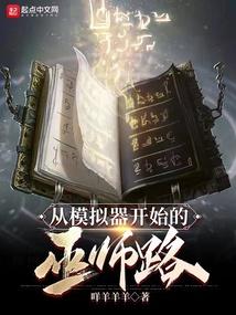 从模拟器开始的巫师路封面