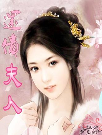 还债夫人封面