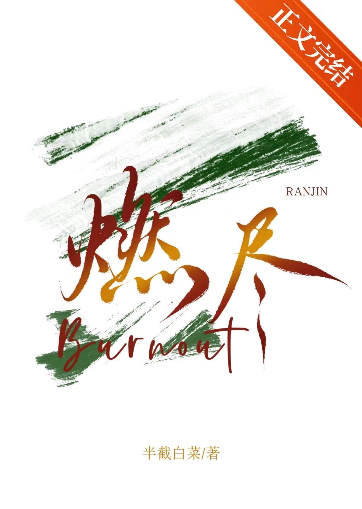 燃尽封面