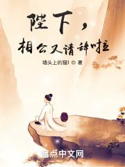 相公，陛下又请辞啦封面