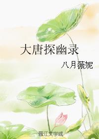大唐探幽录封面