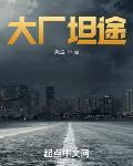 大厂坦途封面