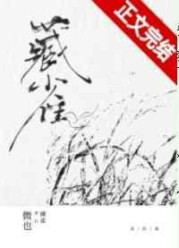 藏雀封面