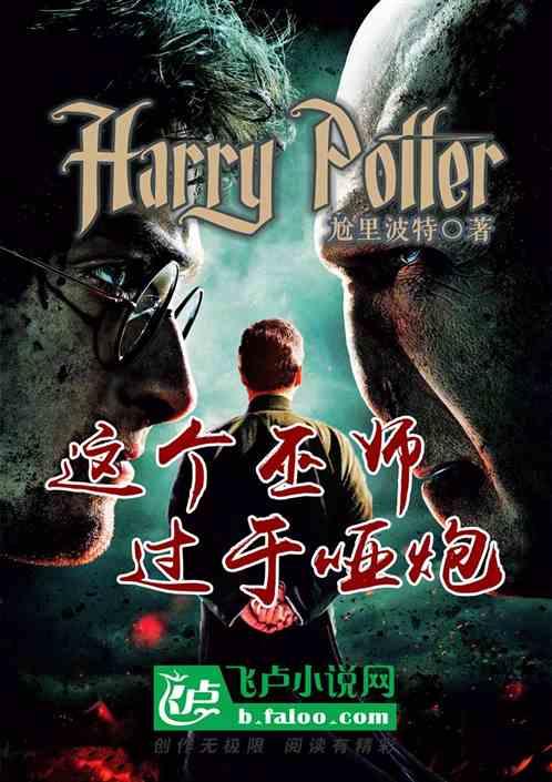 人在哈利波特：这个巫师过于哑炮封面