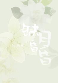 缺月昏昏（女尊）封面