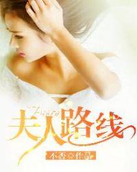 石更沈叶叶全文封面
