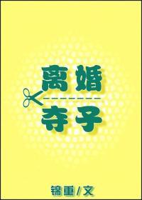 离婚夺子封面