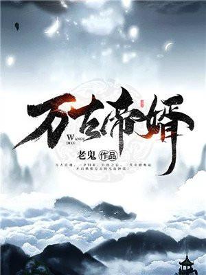 万古帝婿封面