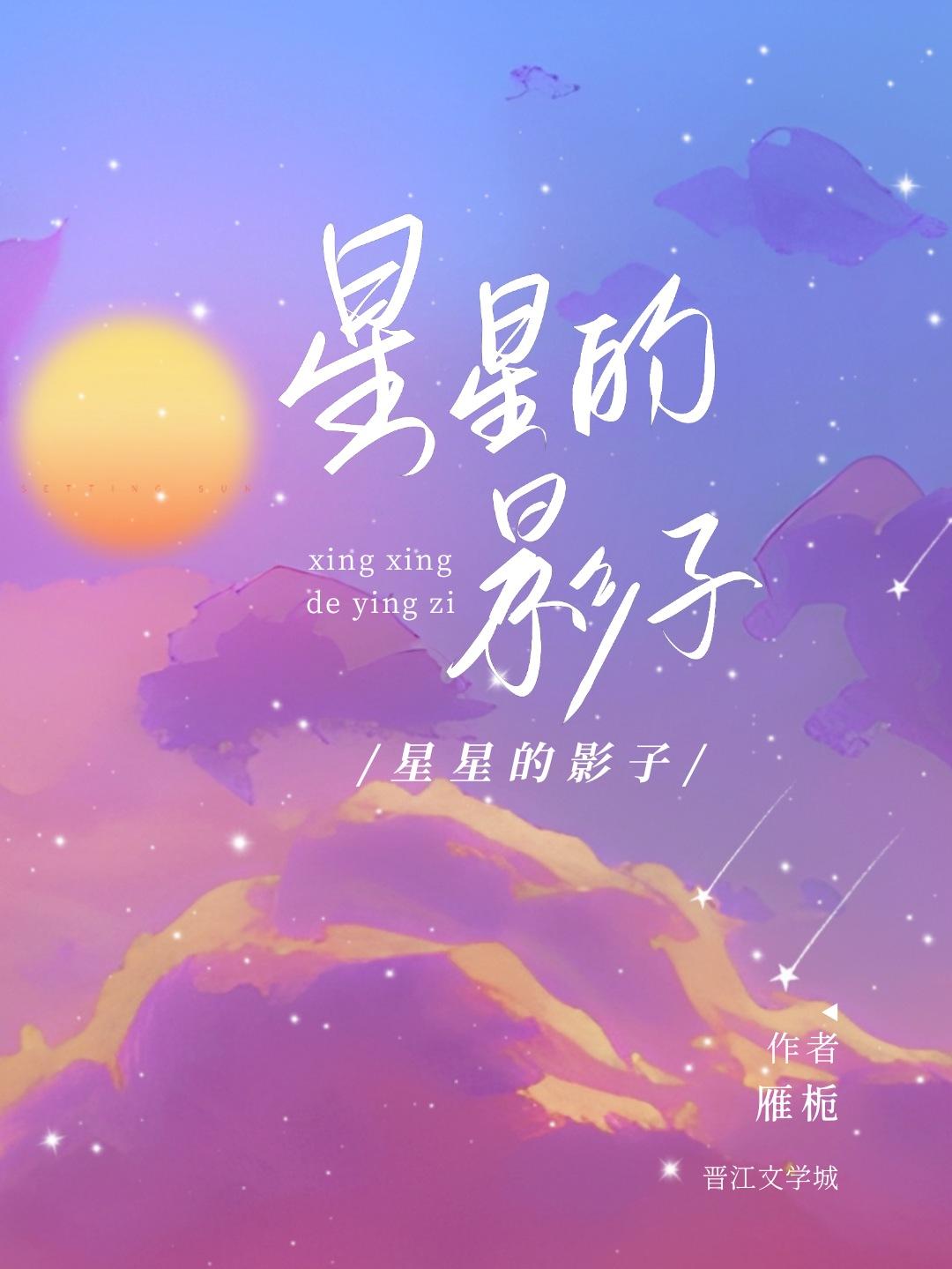 星星的影子封面