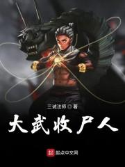 大武收尸人封面