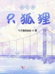 站住那只狐貍封面