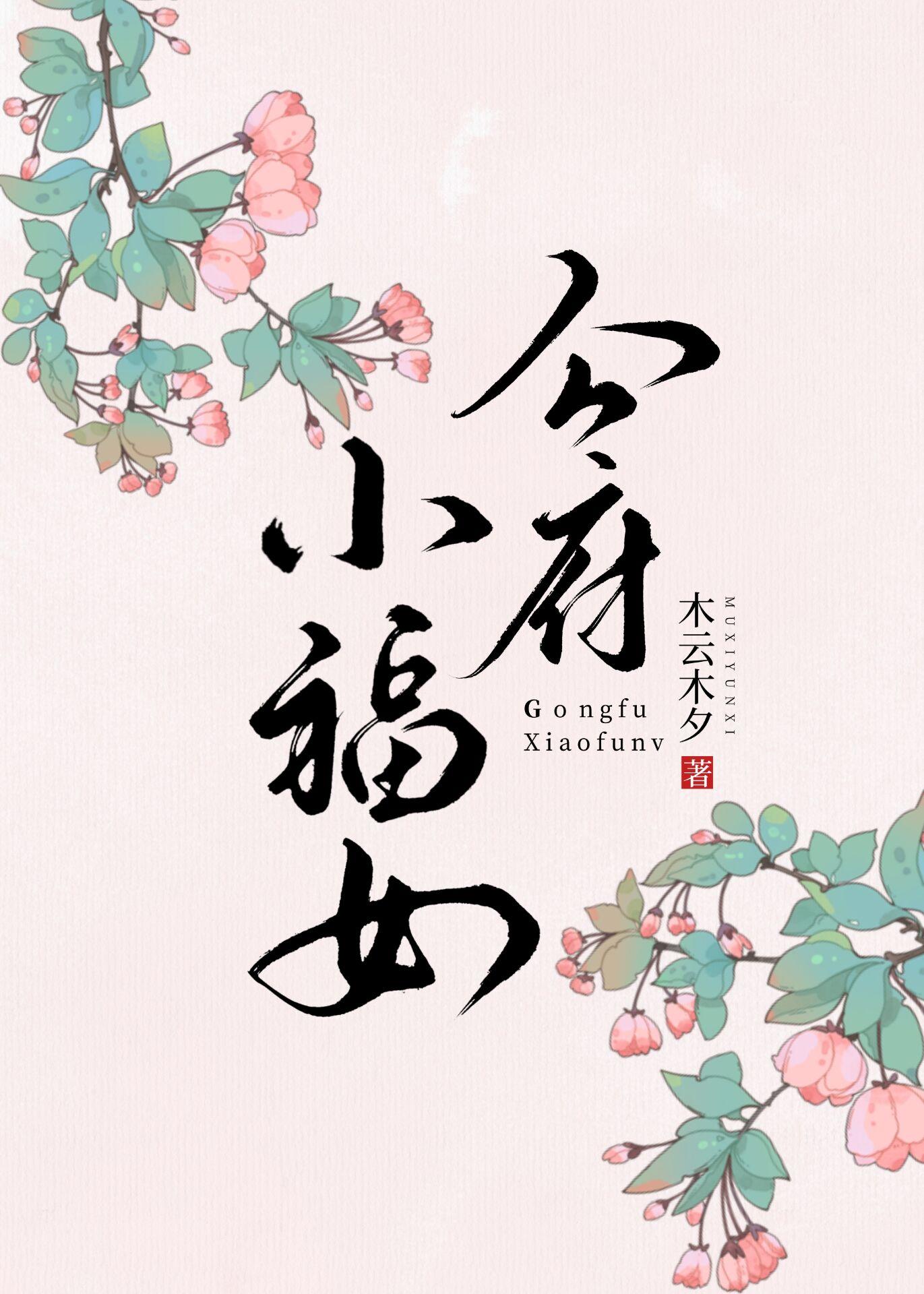 公府小福女封面