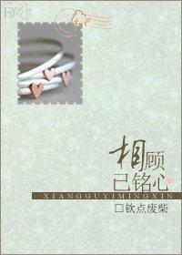 相顾已铭心封面