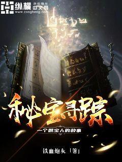 秘宝寻踪封面