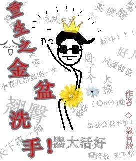 重生之金盆洗手封面