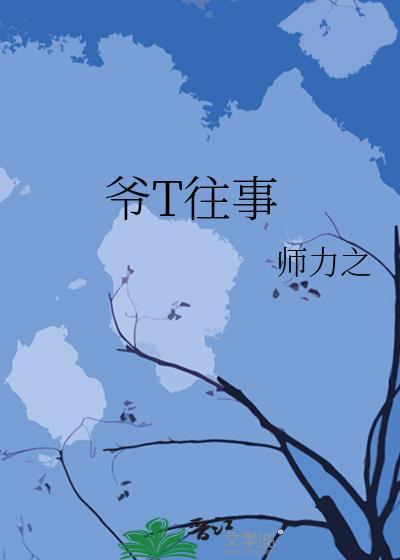 爷T往事封面